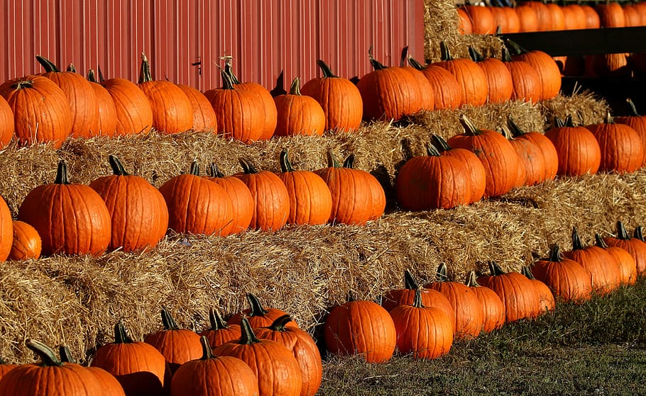 Pumpkins sitting on hay bales 