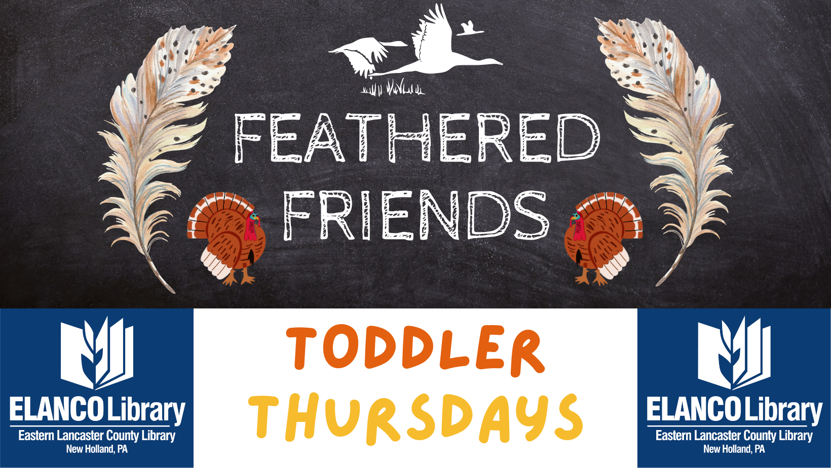 Toddler Thursdays Feathered Friends