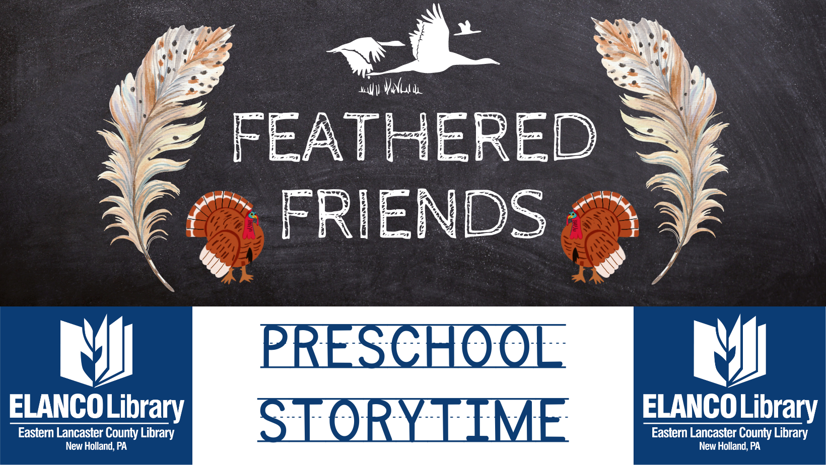 Preschool Storytime - Feathered Friends