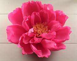 pink crepe paper flower