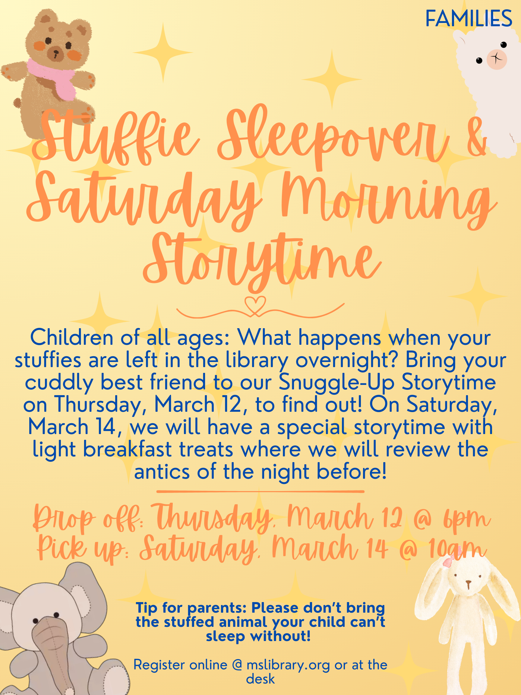 stuffie sleepover program details