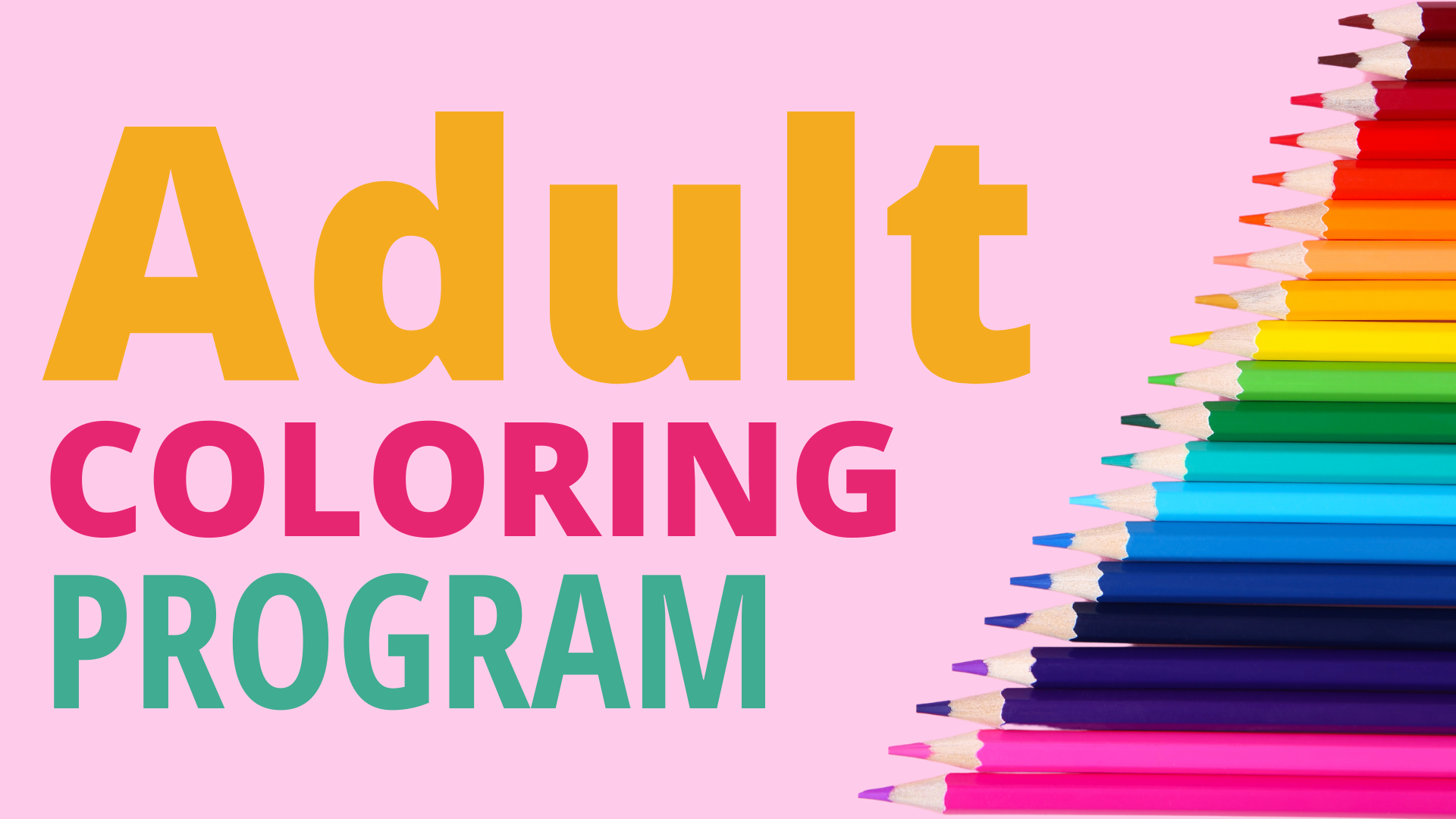 Pink background with multiple colored pencils pointing left toward words: Adult Coloring Program