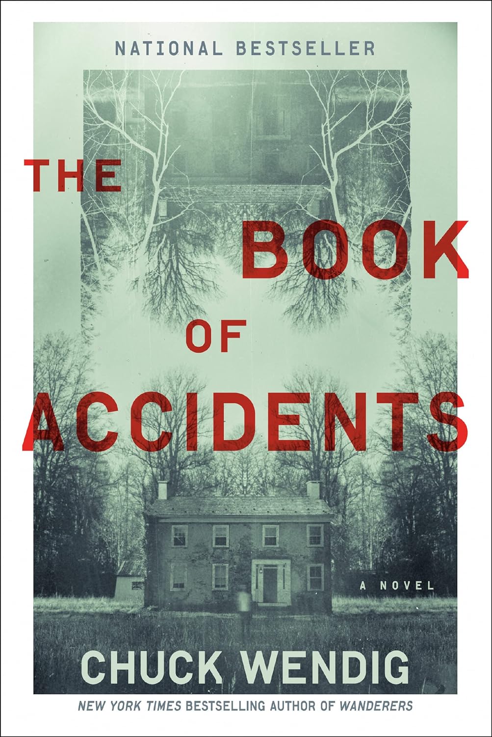 Cover of the Book of accidents