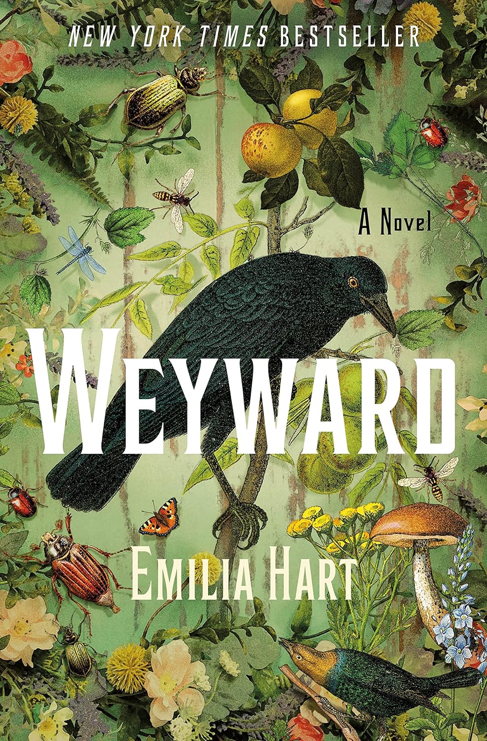 Cover of weyward is green and features a black bird