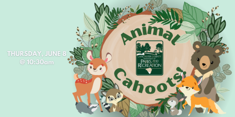 Animal Cahoots June 8th at 10:30am