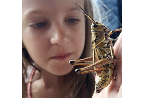 child with a large grasshopper or locust