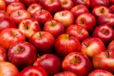 Photo of red apples with brown stems