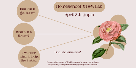 Homeschool STEM Lab dissecting plants/flowers. April 8th at 1pm for ages 6+