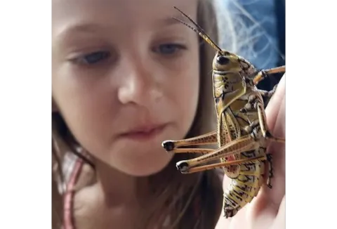 girl holding a large grasshopper