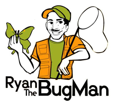 Logo for Ryan the Bug Man. Holding a green butterfly, wearing an orange vest and green shirt. 