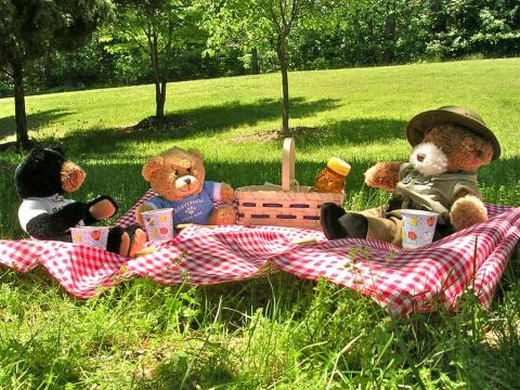 Teddy Bears sitting on a red and white blanket in the green grass