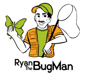Ryan the Bug Man