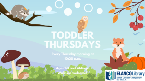 Toddler Thursdays