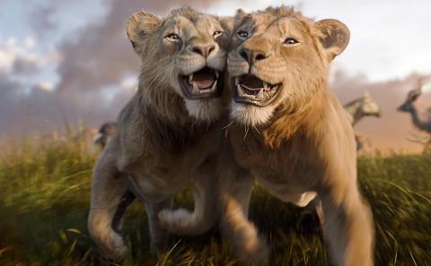 Lions
