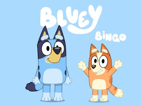 Bluey and Bingo