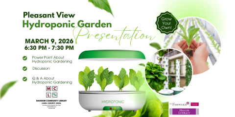 Hydroponic System Plants/Lettuce