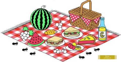 picnic clipart