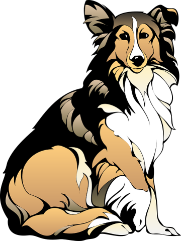 collie illustration