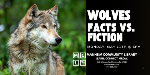 wolf image with dates of class 4/11 at 6pm