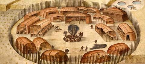 clusters of large, long houses, surrounded by palisade walls