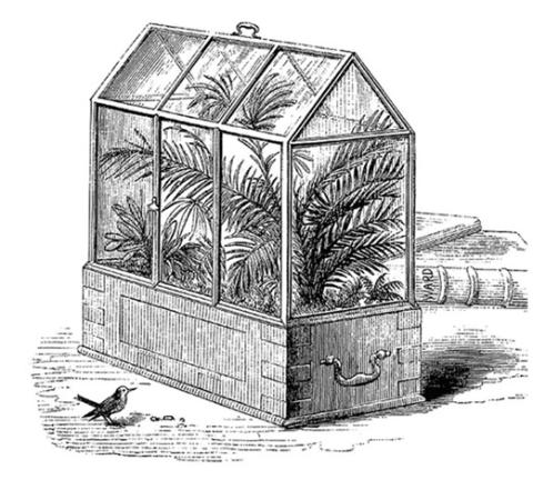 illustrated picture of a terrarium