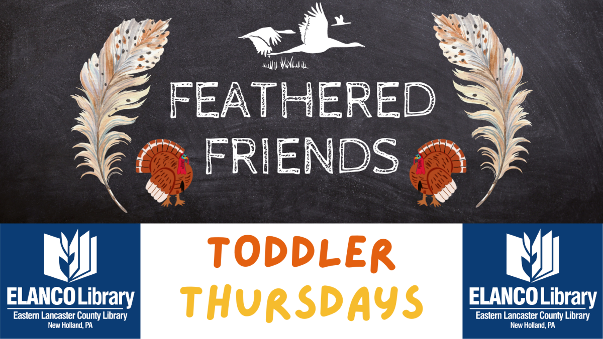 Toddler Thursdays Feathered Friends