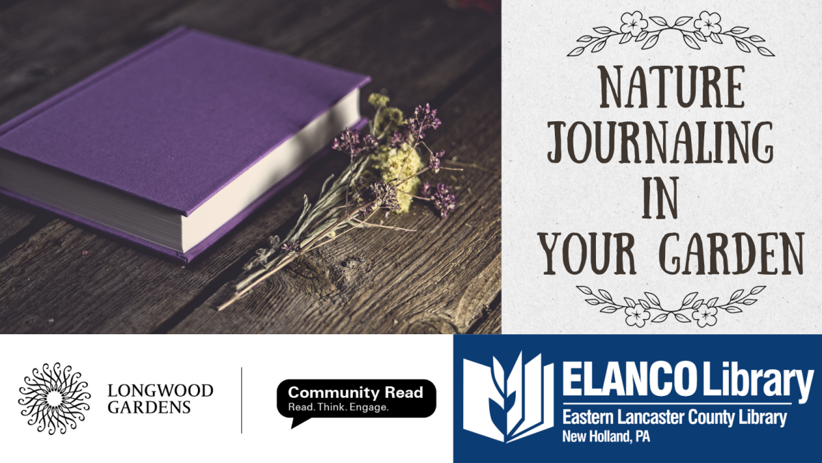 Nature Journaling in Your Garden