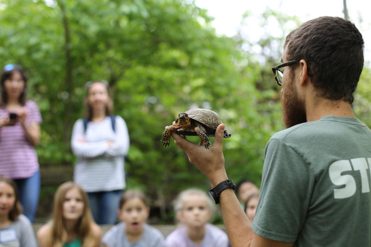 Photo of man in green shirt holding a turtle