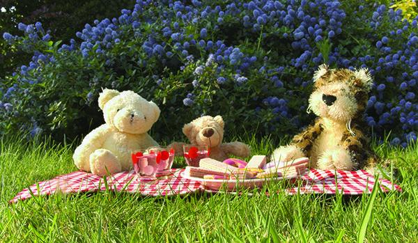 Stuffed animals having a picnic.