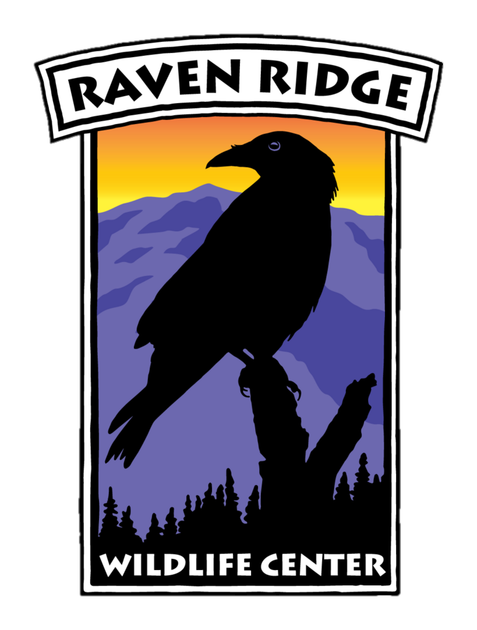 Raven Ridge logo.