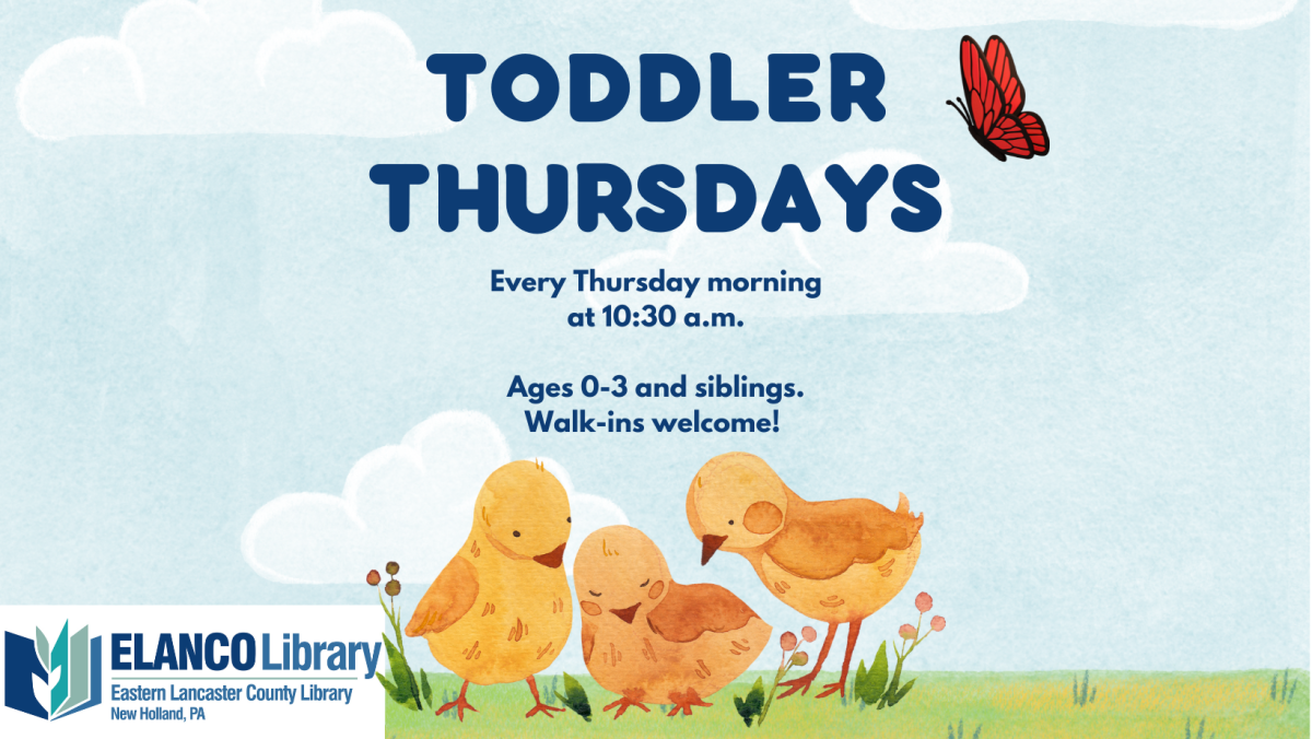 Toddler Thursdays