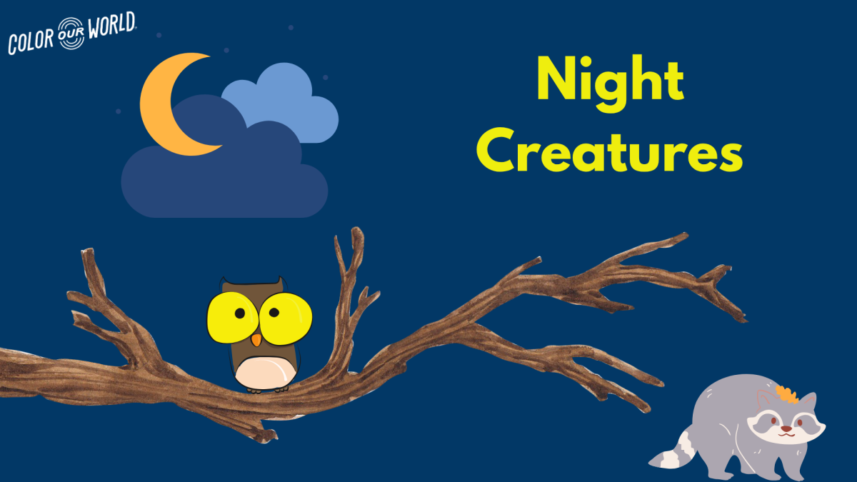 Night Creatures on July 24 at 6:30pm to 7:30pm