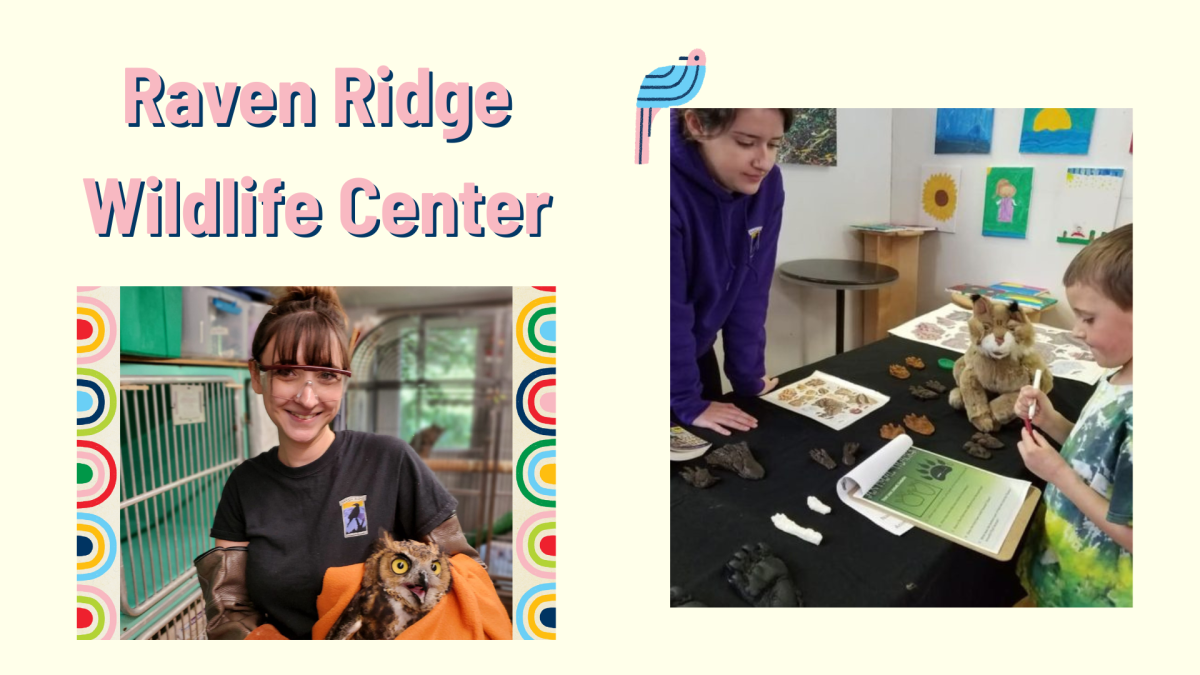 Raven Ridge Wildlife Show! August 4th at 1pm