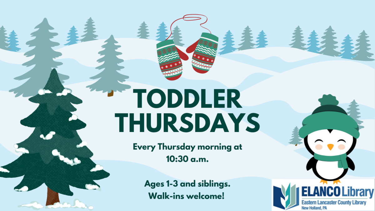 Toddler Thursdays