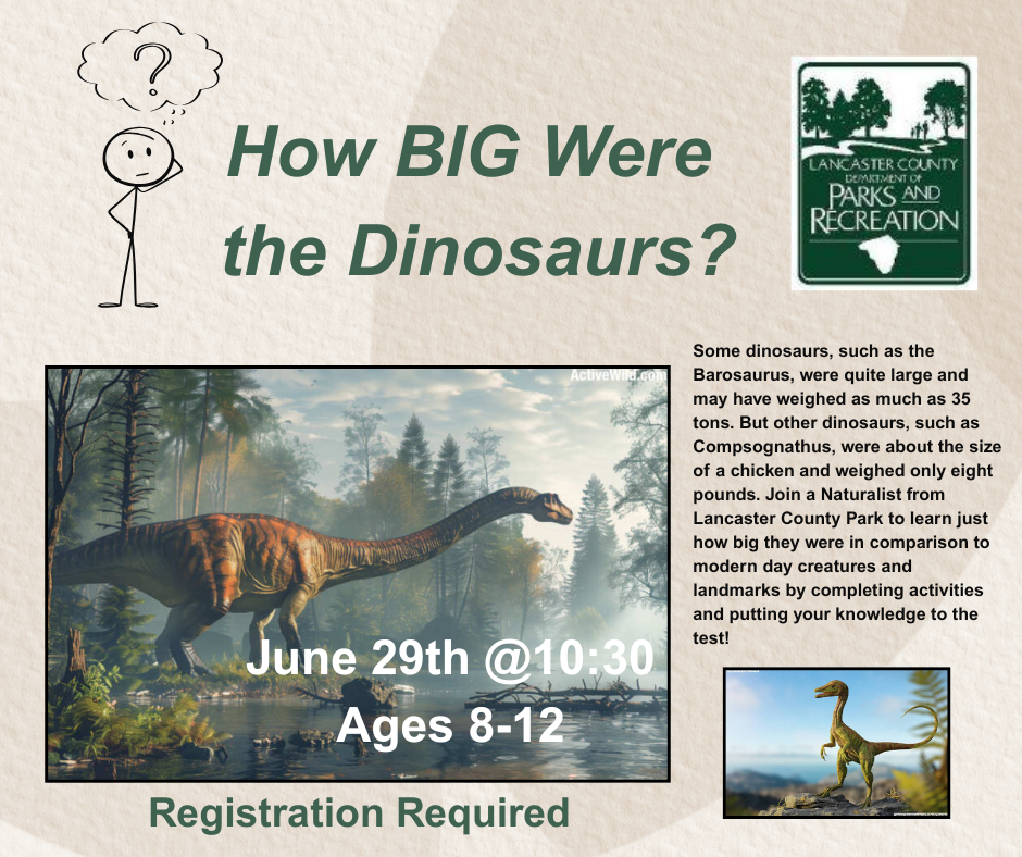 How Big Were the Dinosaurs 